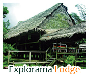 Explorama Lodge