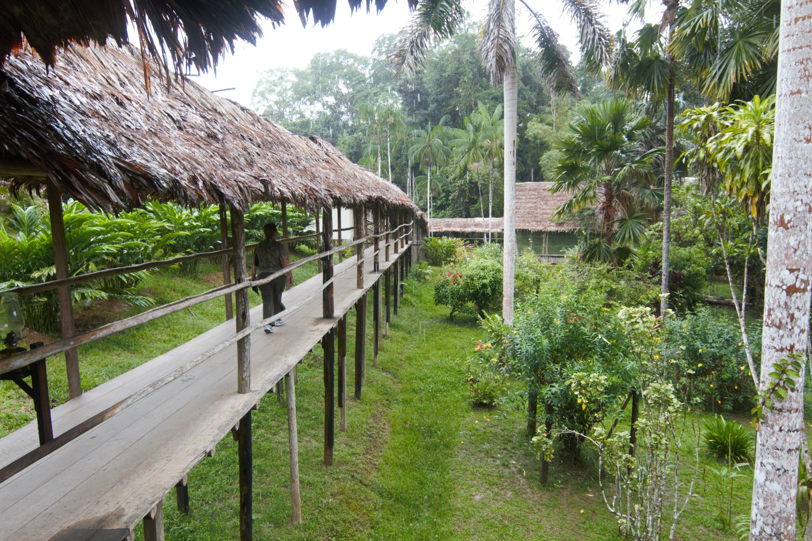 Explorama Lodge