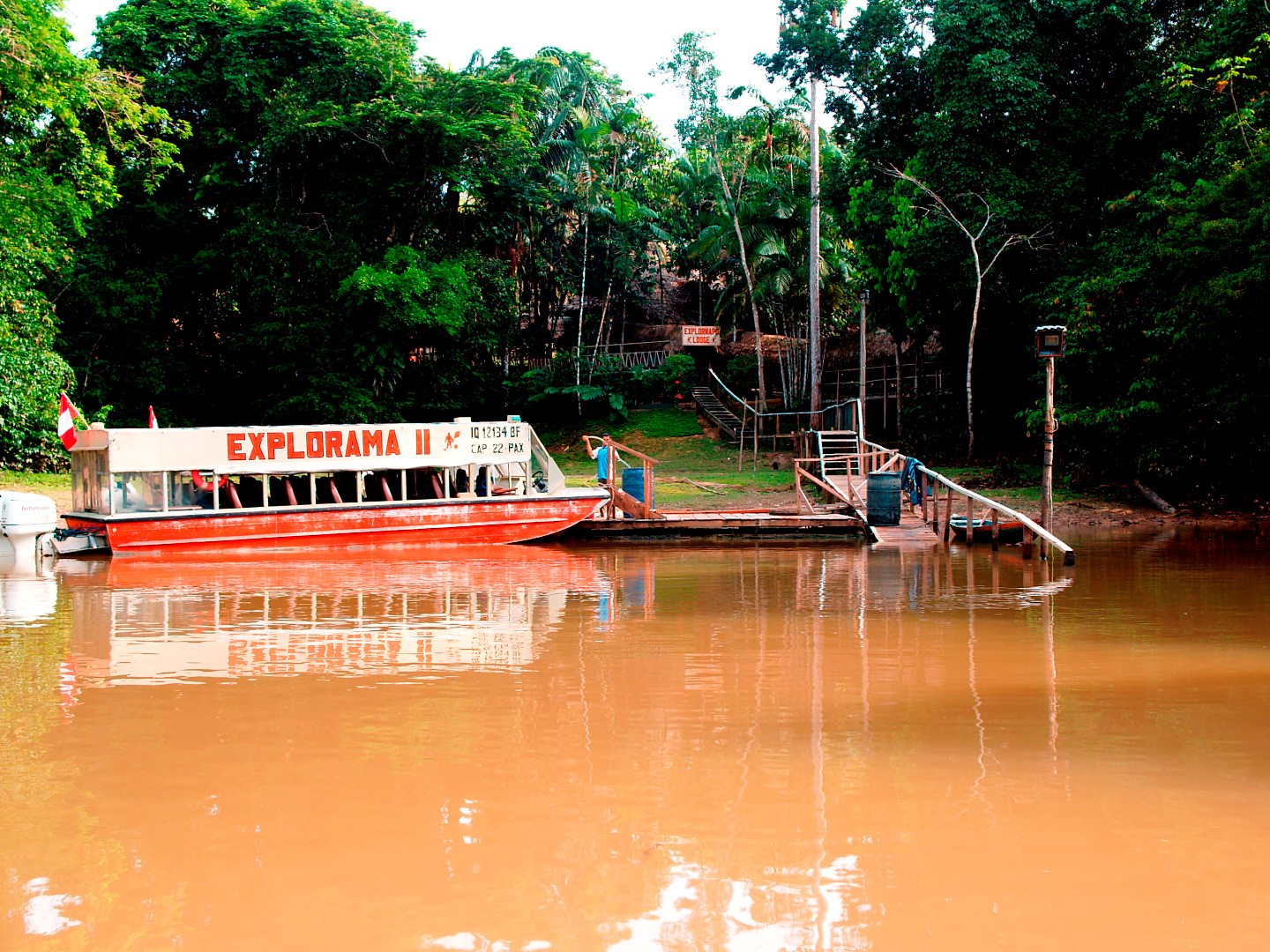 Ceiba Tops