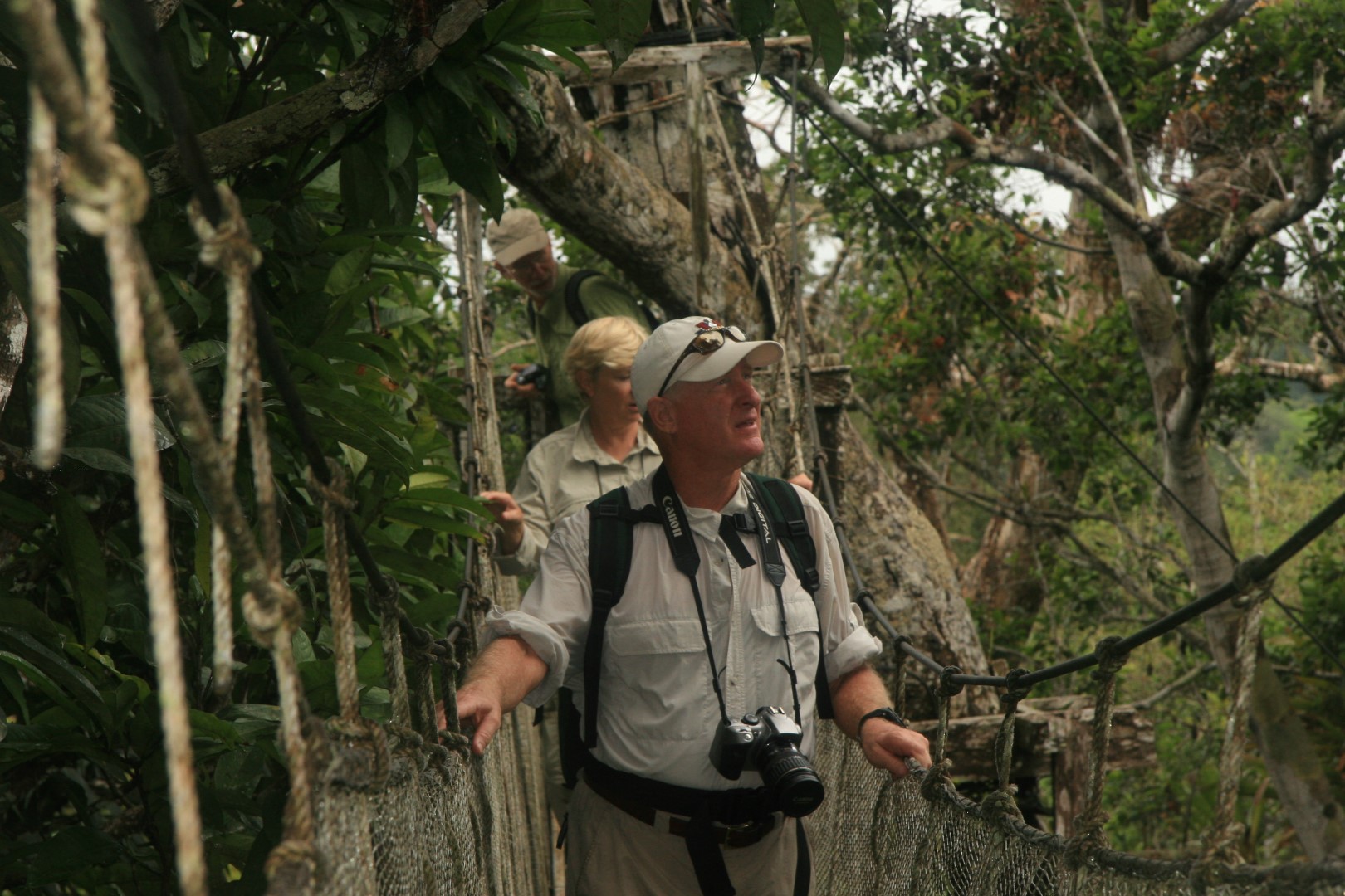 Ceiba Tops